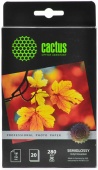 Фотобумага Cactus CS-SGA628020 Professional полуглянцевая 10x15 280 г/м2 20 листов