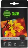 Фотобумага Cactus CS-SMA628020 Professional шелковисто-матовая (сатин) 10x15 280 г/м2 20 листов