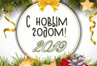 График работы в период новогодних праздников 2018-2019 г.